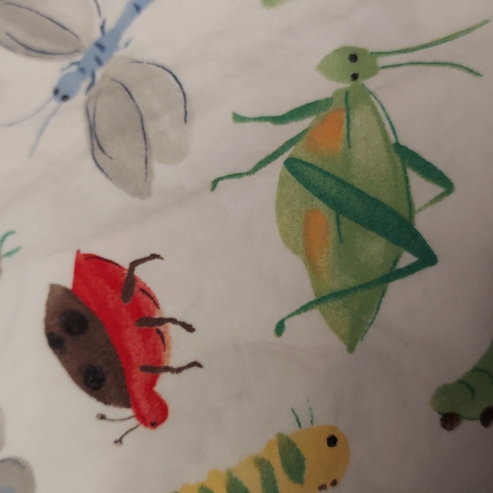 Pottery Barn Kids Bugs Nature Twin Flat Sheet Cotton - Picture 2 of 5